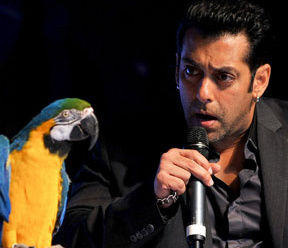 Bigg Boss 6 in legal tangle over national anthem